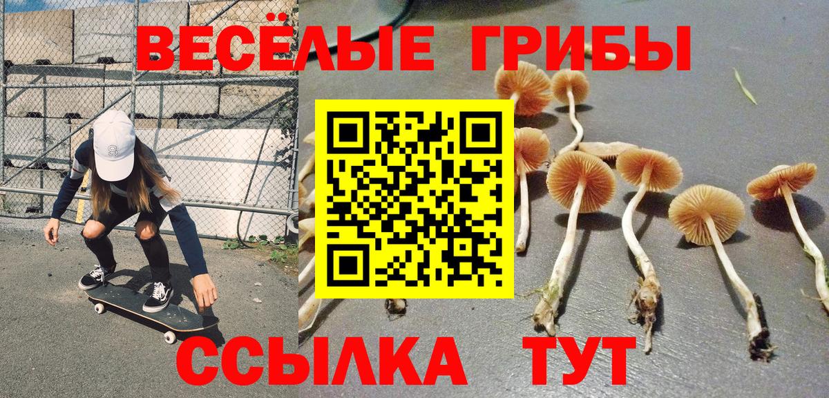 Галлюциногенные грибы ЛСД  Вход с VPN  Псилоцибиновые грибы Cubensis  купить закладку  Донской 